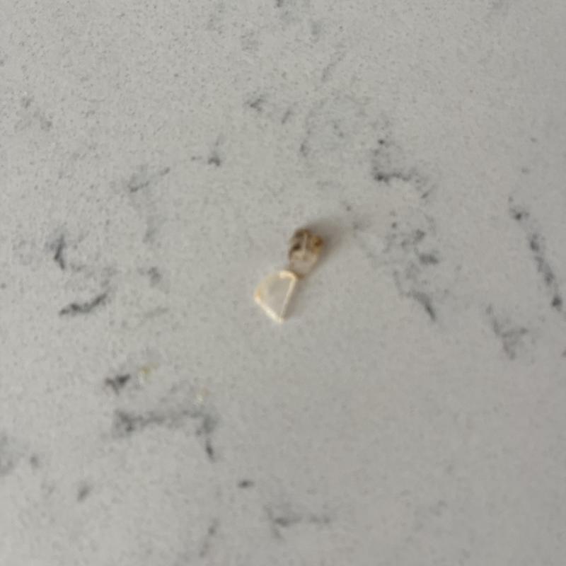 Plastic fragment removed from garbage disposal jam