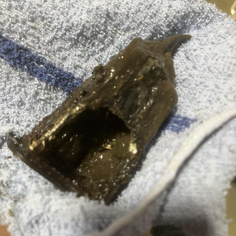 Pump basin inlet filter clogged with debris on towel