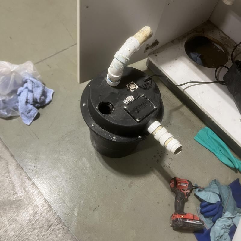 Zoeller lift pump with cleaned inlet filter