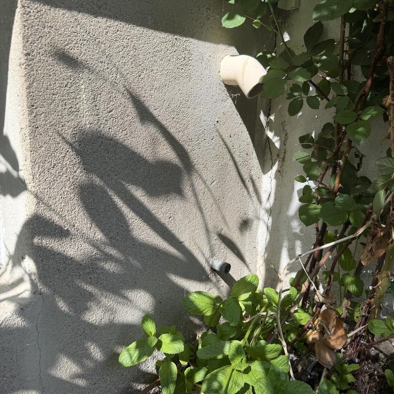 Outdoor plumbing vent pipe on exterior wall with plants Outdoor plumbing vent pipe on exterior wall with plants
