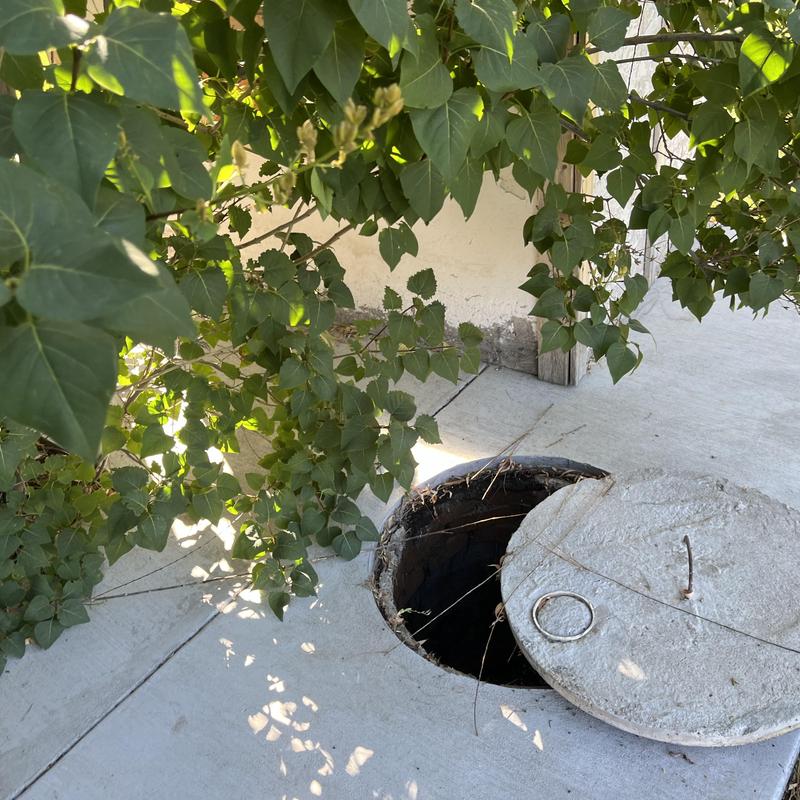 Septic tank access with open concrete lid outdoors