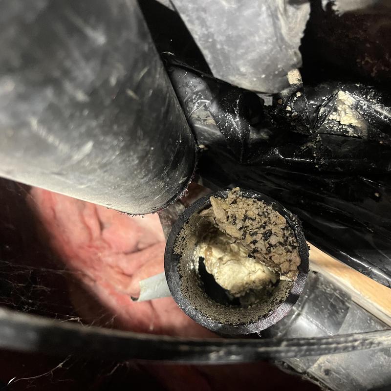 Sewer mainline pipe clog in crawlspace plumbing system