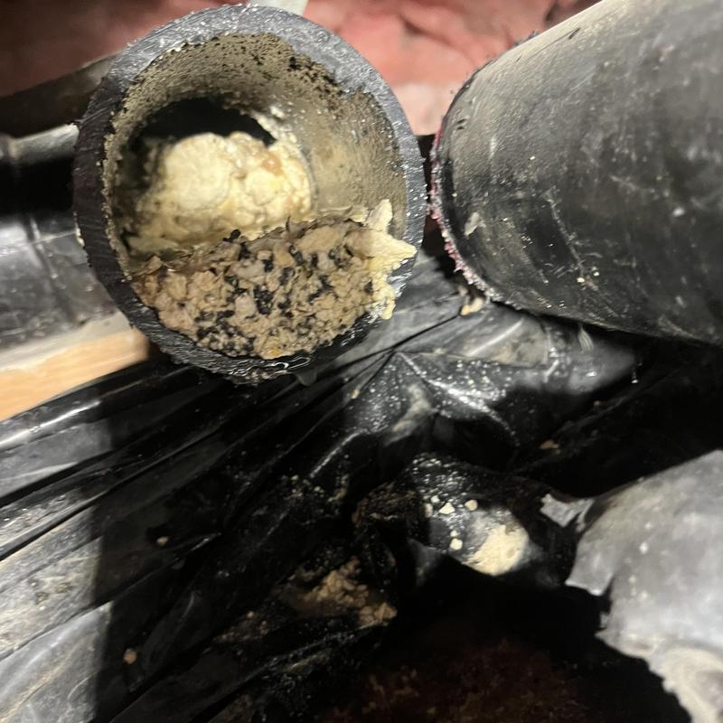 Sewer mainline clogged with debris in crawlspace