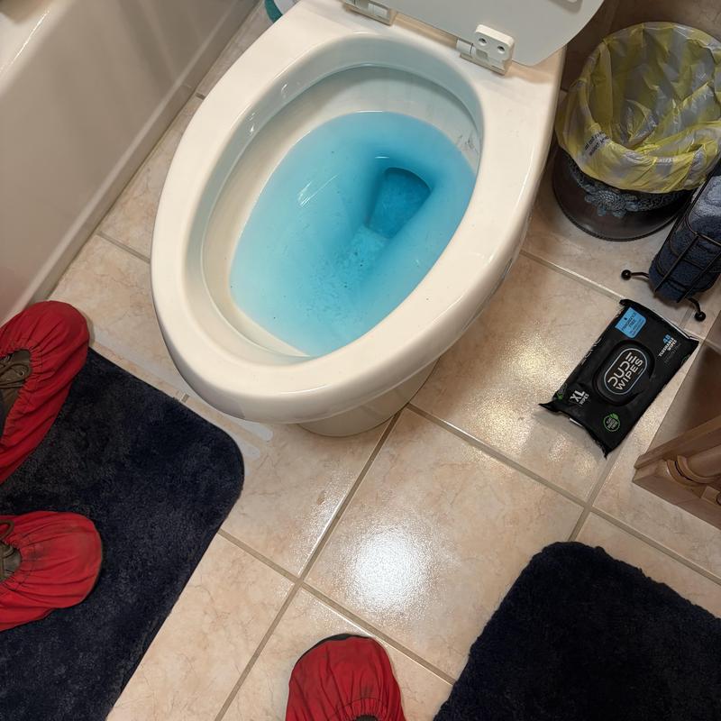 Toilet bowl with blue cleaning solution and technician shoes