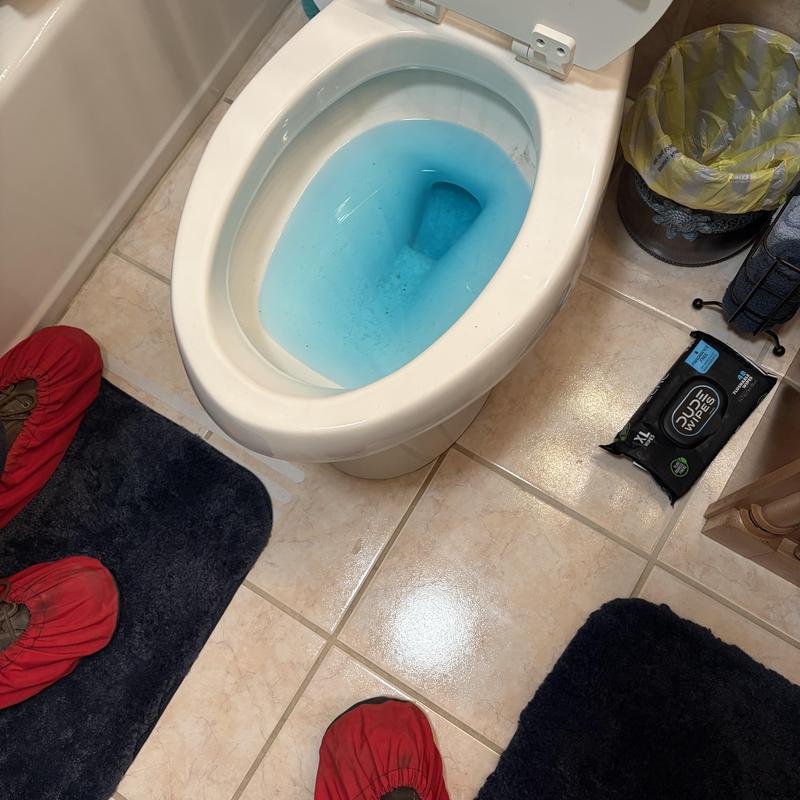 Toilet bowl with blue cleaning solution inside
