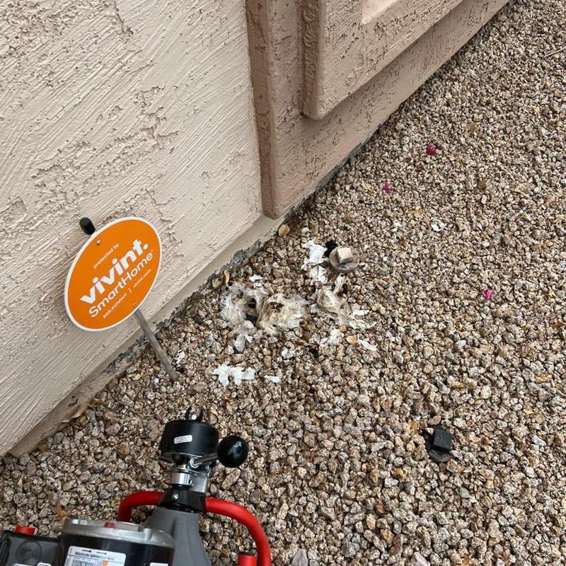 Mainline sewer cleanout with toilet paper blockage outdoors