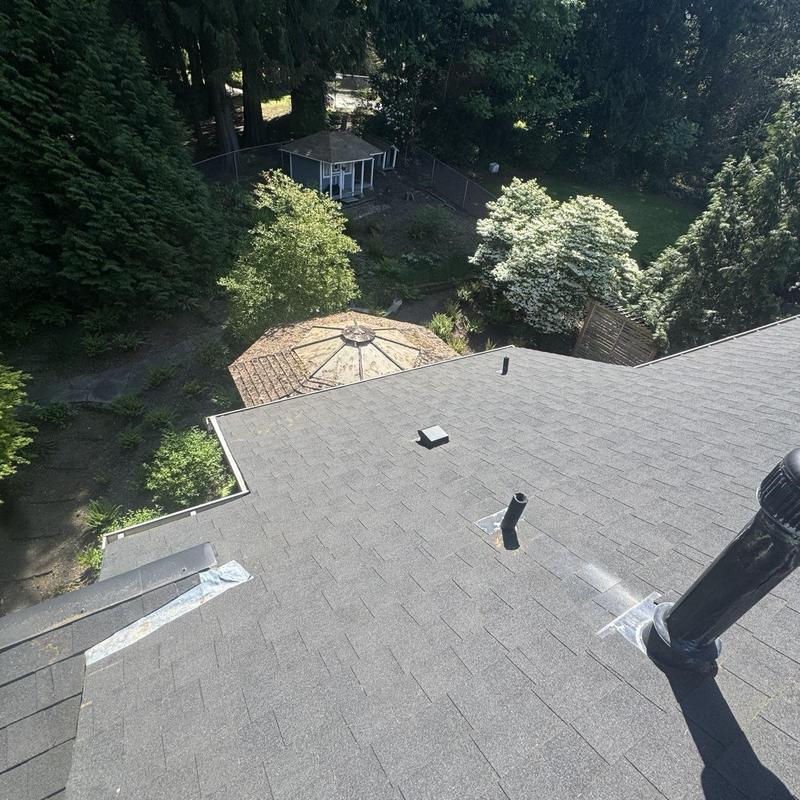 Roof shingles and vents on a cleaned residential roof