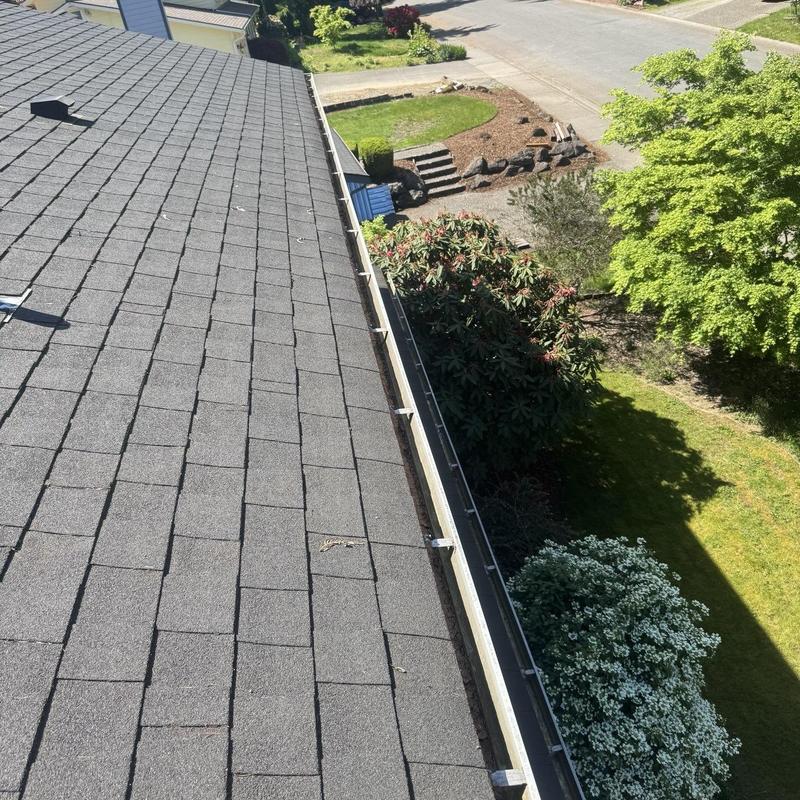 Gutter cleaning and debris removal on shingle roof