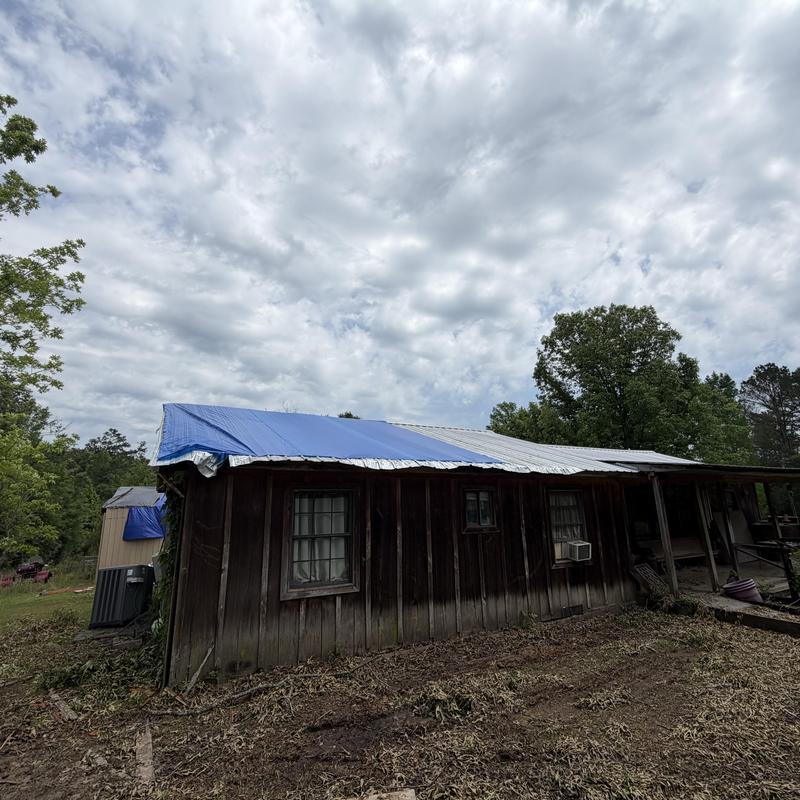 Metal roof with blue tarp covering tree damage