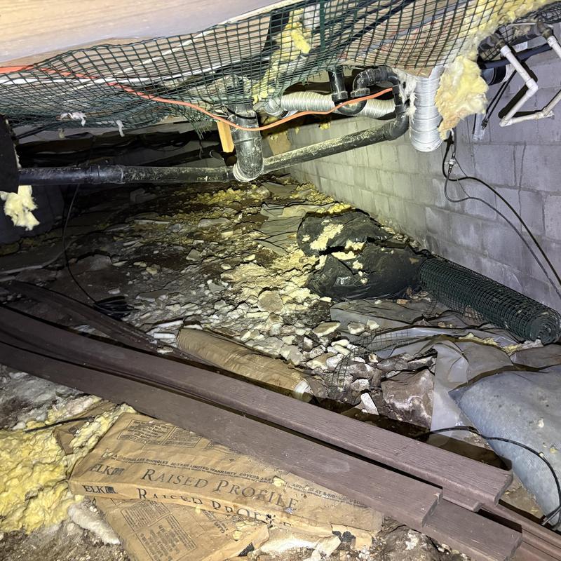 Bathroom plumbing pipes under crawl space with insulation debris Bathroom plumbing pipes under crawl space with insulation debris