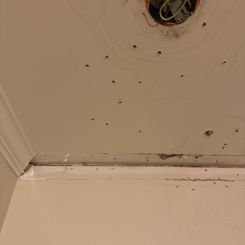 Ceiling drywall with nail pops and water stains