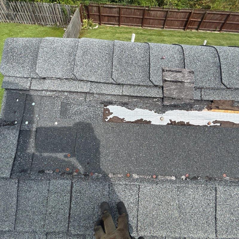 Asphalt shingle roof with hail damage and granule loss