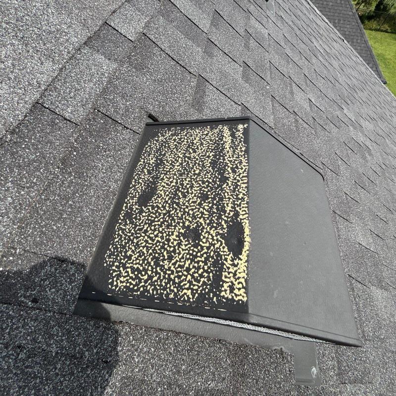 Roof vent with hail damage to surface granules