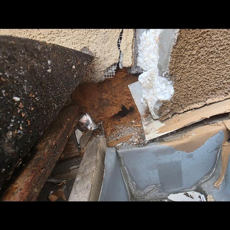 Roof decking with wood rot damage near flashing and stucco Roof decking with wood rot damage near flashing and stucco