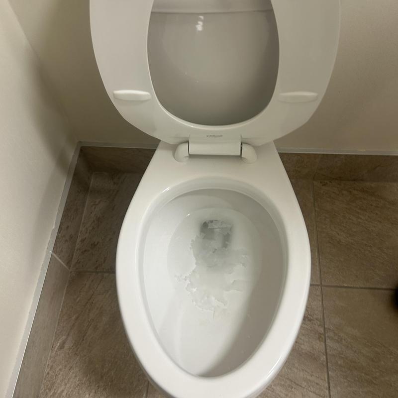 Toilet bowl clearing with auger tool in bathroom