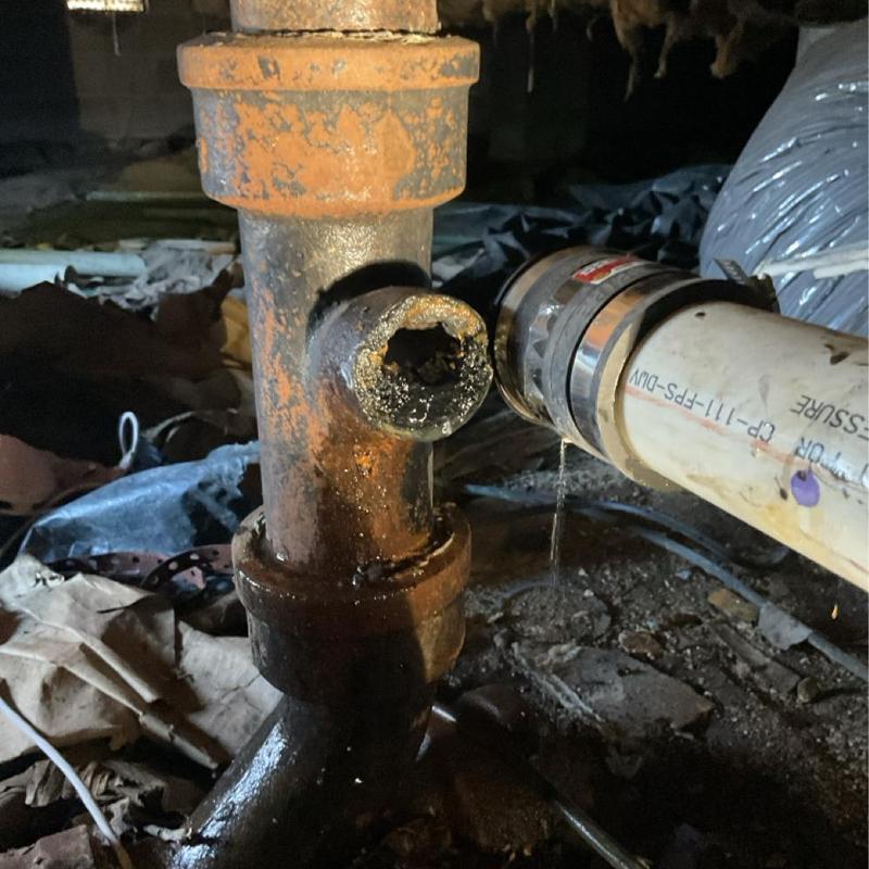 Main sewer line with grease and debris buildup in crawlspace Main sewer line with grease and debris buildup in crawlspace