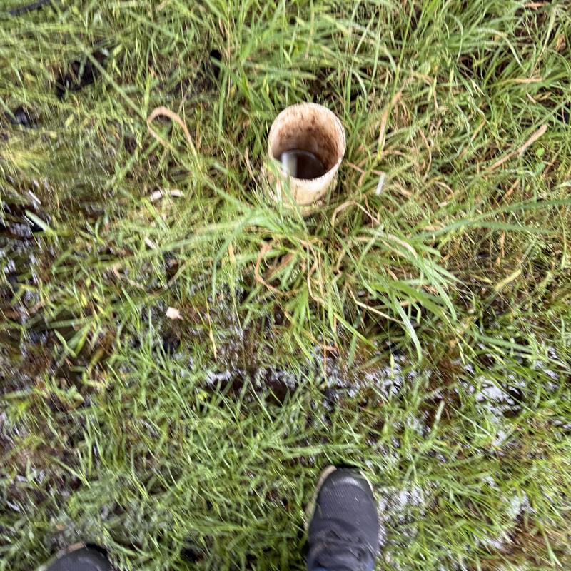 Main sewer line pipe with overflow in wet grass