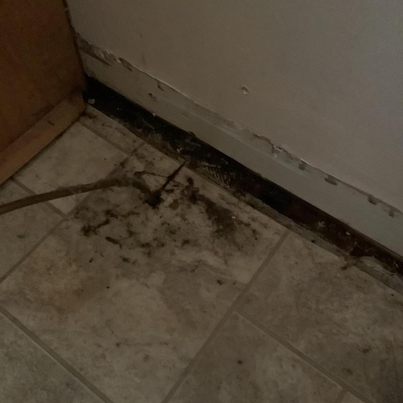 Floor tile water damage with decay along wall baseboards Floor tile water damage with decay along wall baseboards