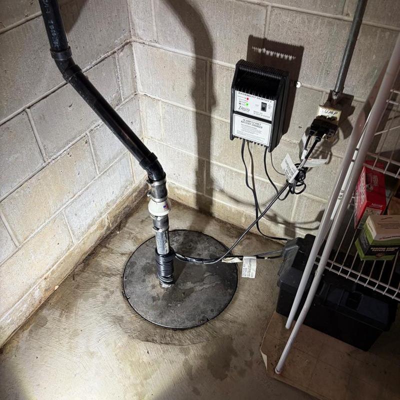 Sump pump system with battery backup and wiring