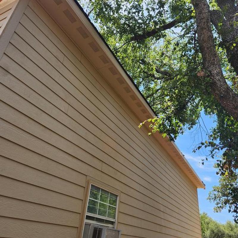 Chimney and exterior wall siding with tree nearby