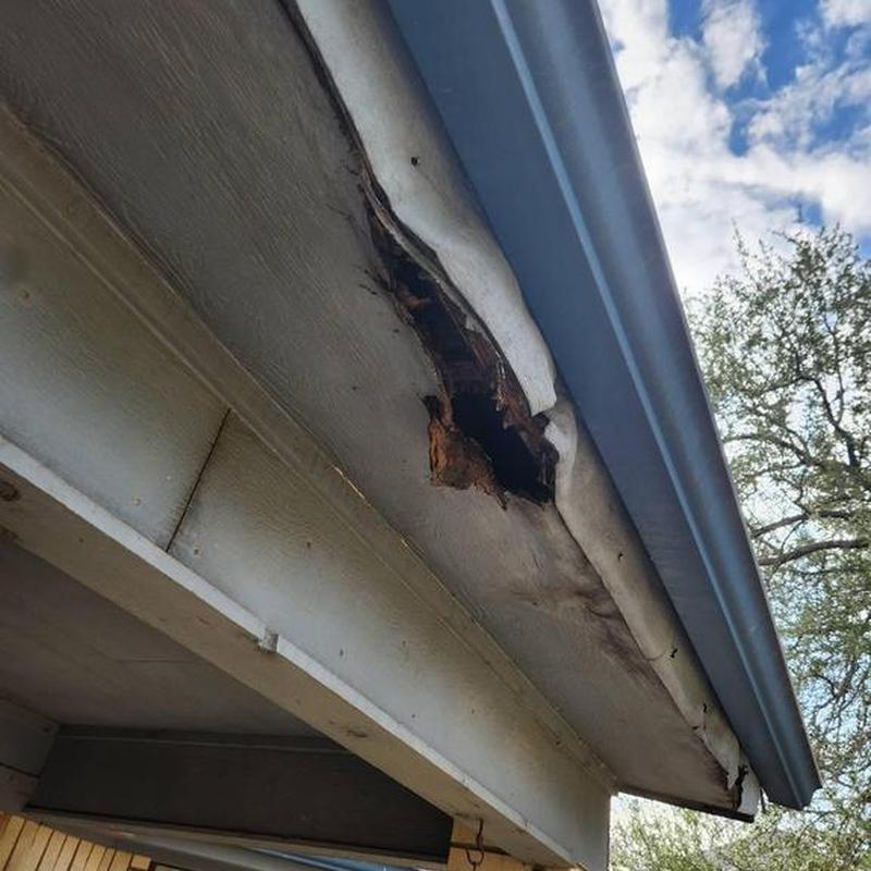 Damaged soffit and fascia under roof gutter