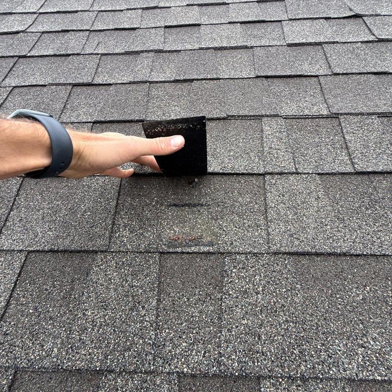 Asphalt roof shingles lifted showing damage