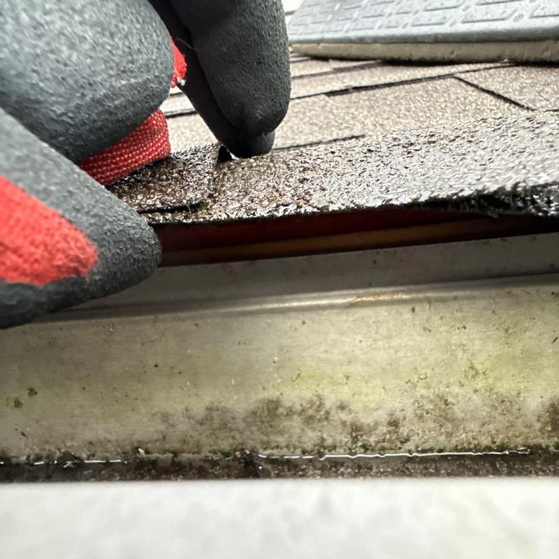 Asphalt shingle edge lifted for roof inspection