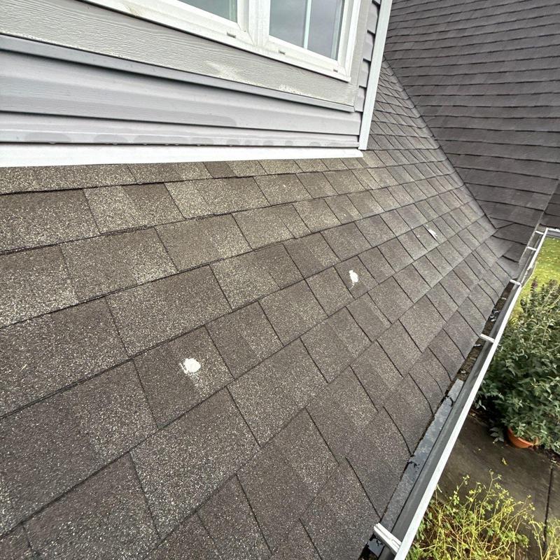 Asphalt roof shingles with visible hail damage spots