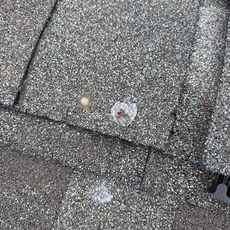 Asphalt shingles with hail damage spots on roof
