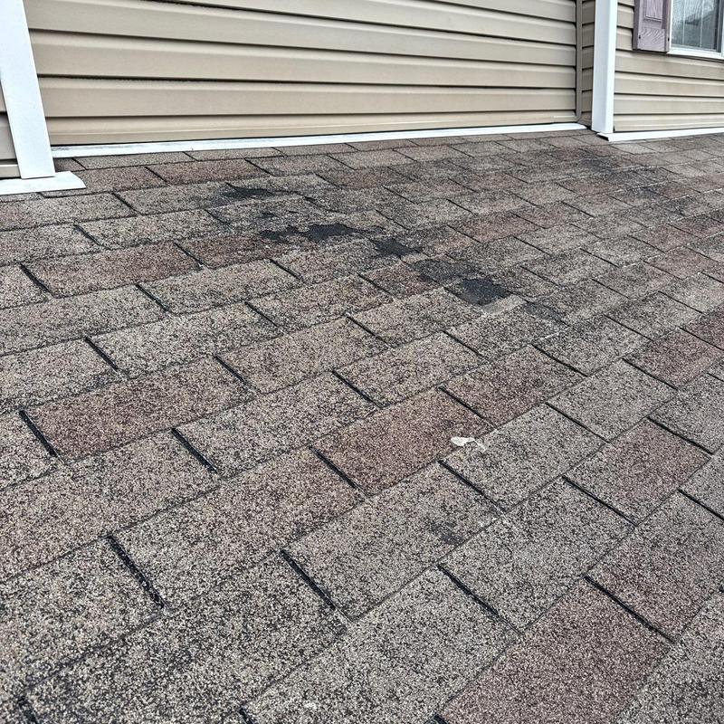 Asphalt roof shingles with hail damage spots