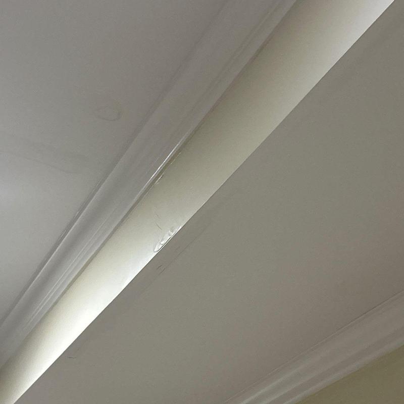 Ceiling crown molding with water damage stains