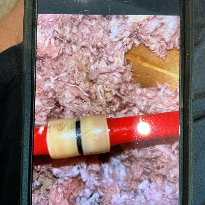 12 inch PEX water line with coupling in insulation 12 inch PEX water line with coupling in insulation
