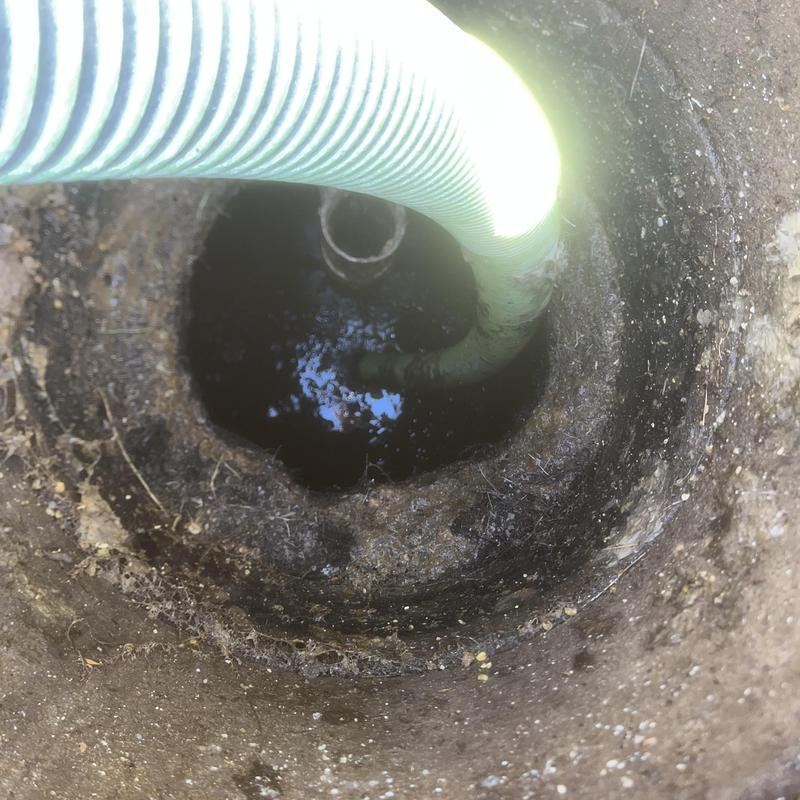 Septic tank opening with pump-out hose inserted