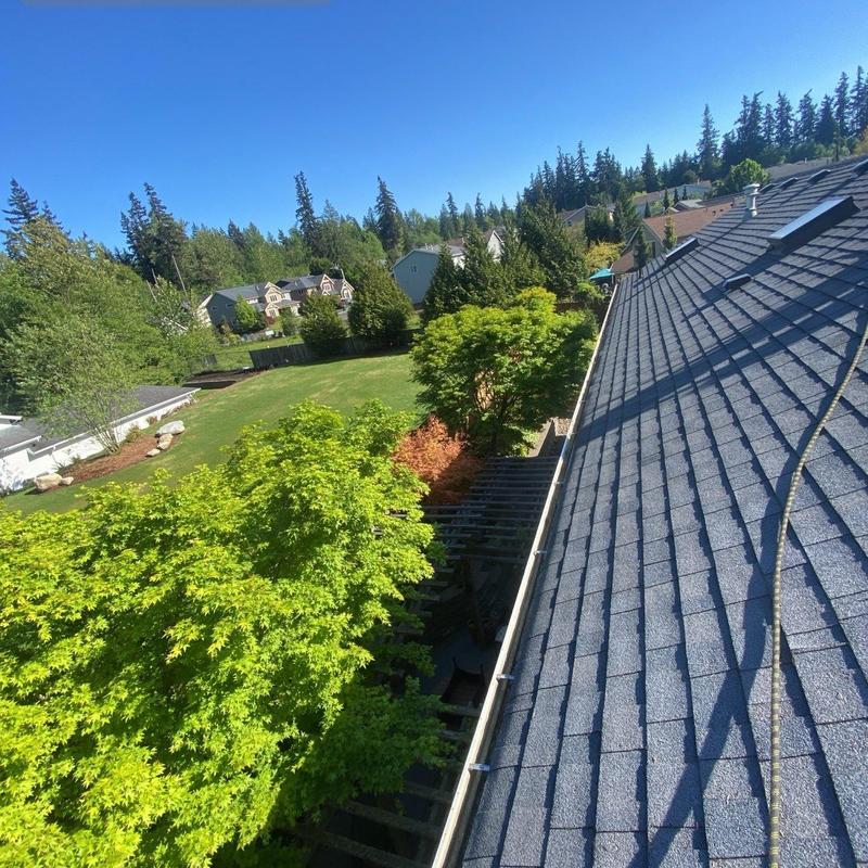 Roof shingles and gutters after cleaning service