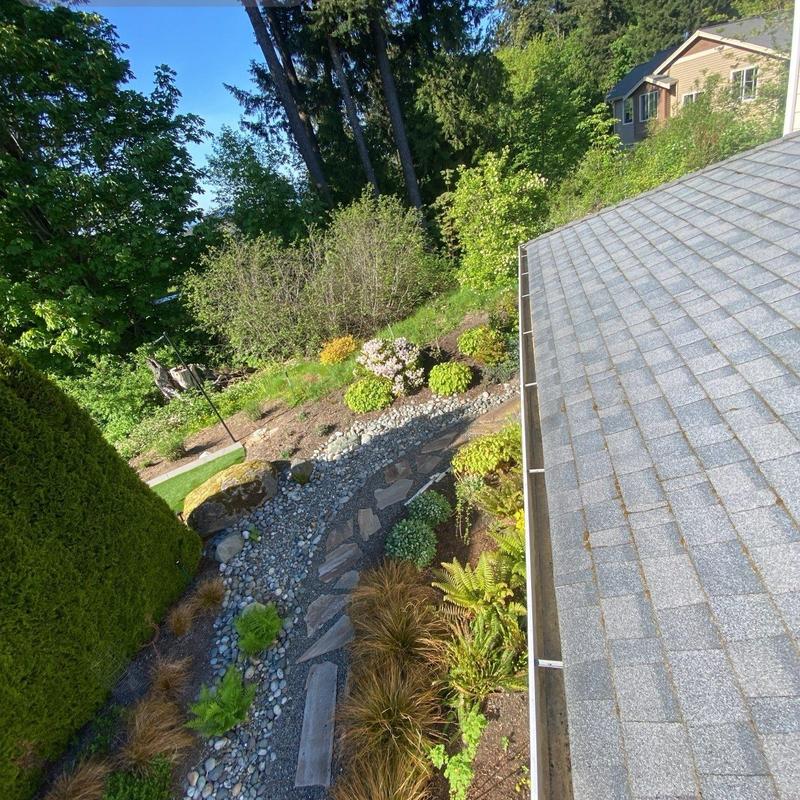 Roof shingles and gutters with cleaned debris and trimmed foliage