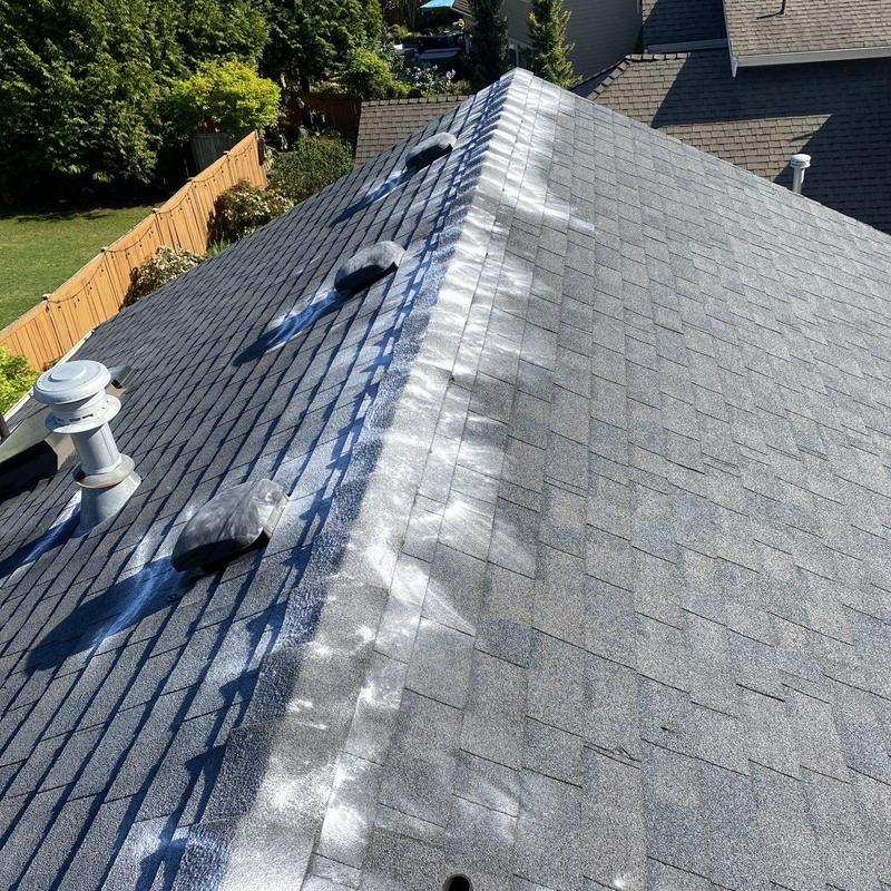 Asphalt shingle roof with moss treatment and cleaning
