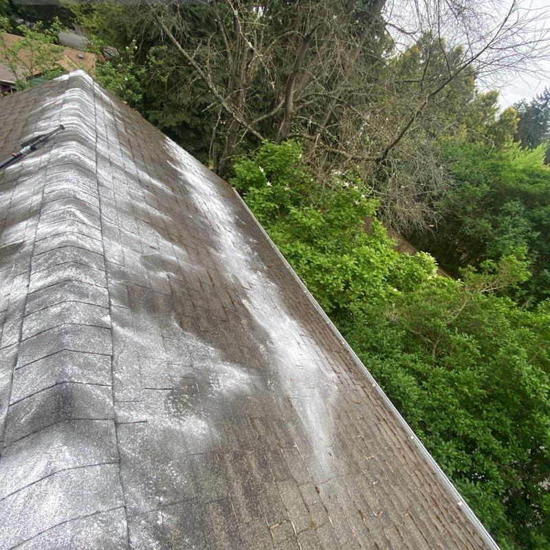 Asphalt shingle roof with moss treatment and cleaning
