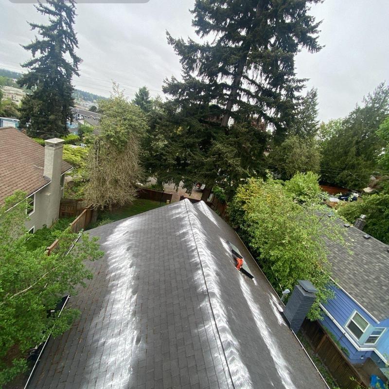 Roof moss treatment and gutter cleaning in Seattle