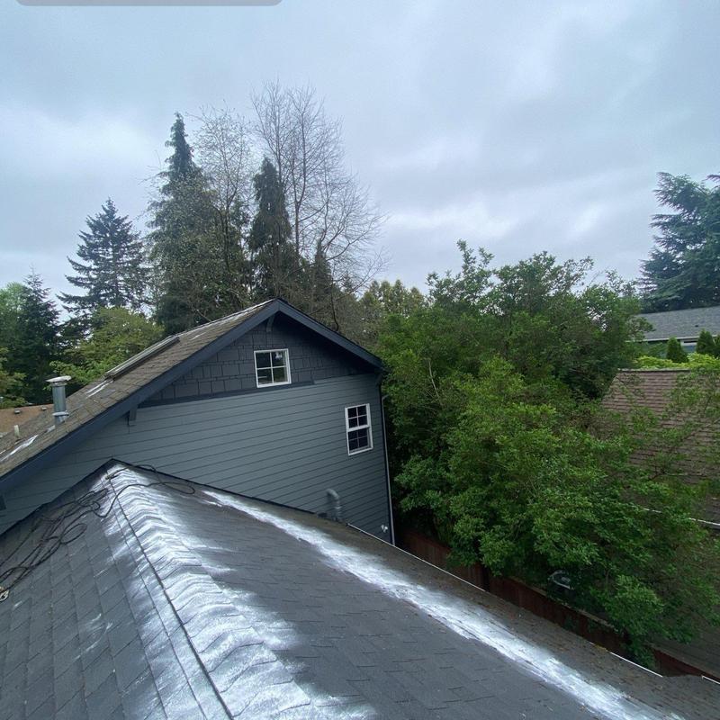 Roof with moss treatment and cleaning against trees
