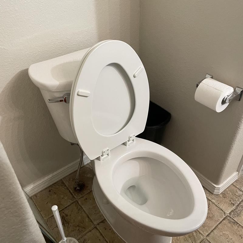 Elongated toilet replacement and tank rebuild in bathroom