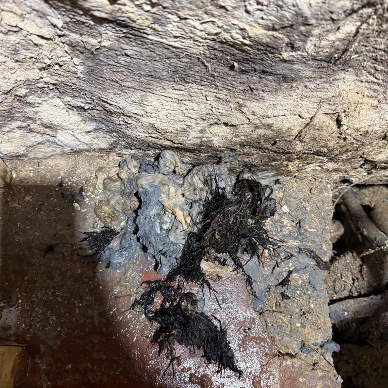 Main drain clog debris removed in New Bedford Main drain clog debris removed in New Bedford