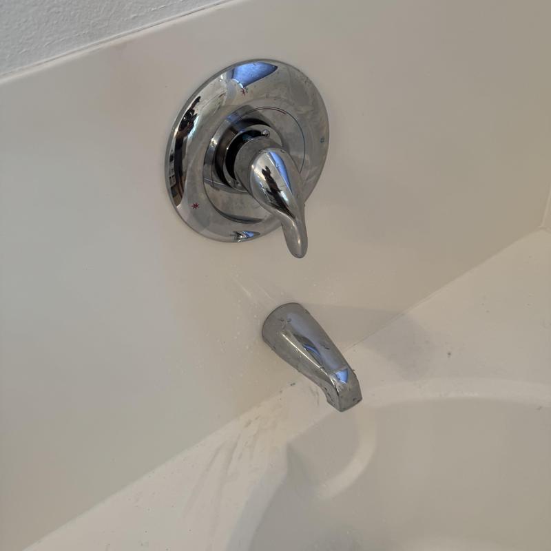 Moen tub cartridge and faucet handle in white tub