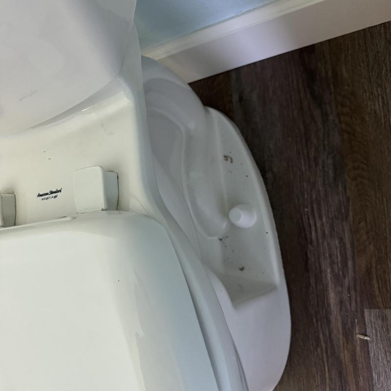 Toilet base installation on hardwood floor