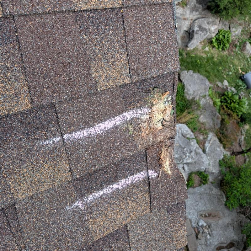 Roof shingles with tree damage and chalk markings Roof shingles with tree damage and chalk markings