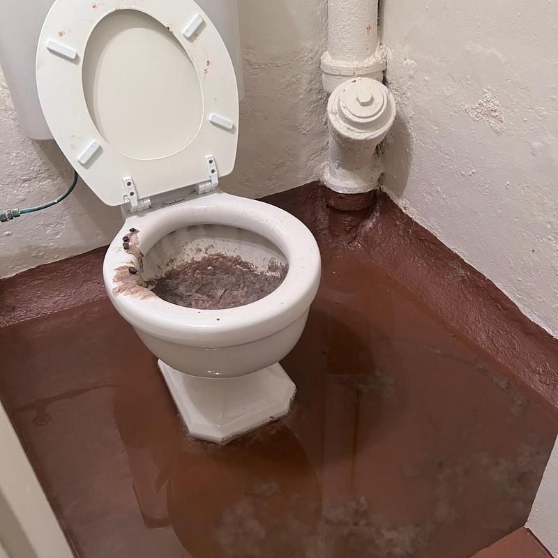 Toilet flood with dirty water in basement bathroom Toilet flood with dirty water in basement bathroom