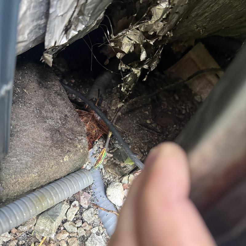 Thermostat wire with rodent damage near HVAC unit Thermostat wire with rodent damage near HVAC unit