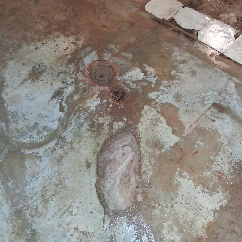 Main drain with sediment buildup in concrete floor