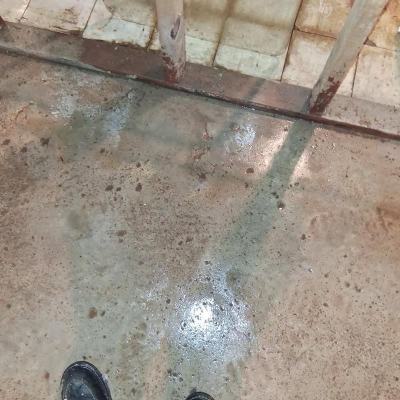 Main drain pipe jetted wet concrete floor below stairs