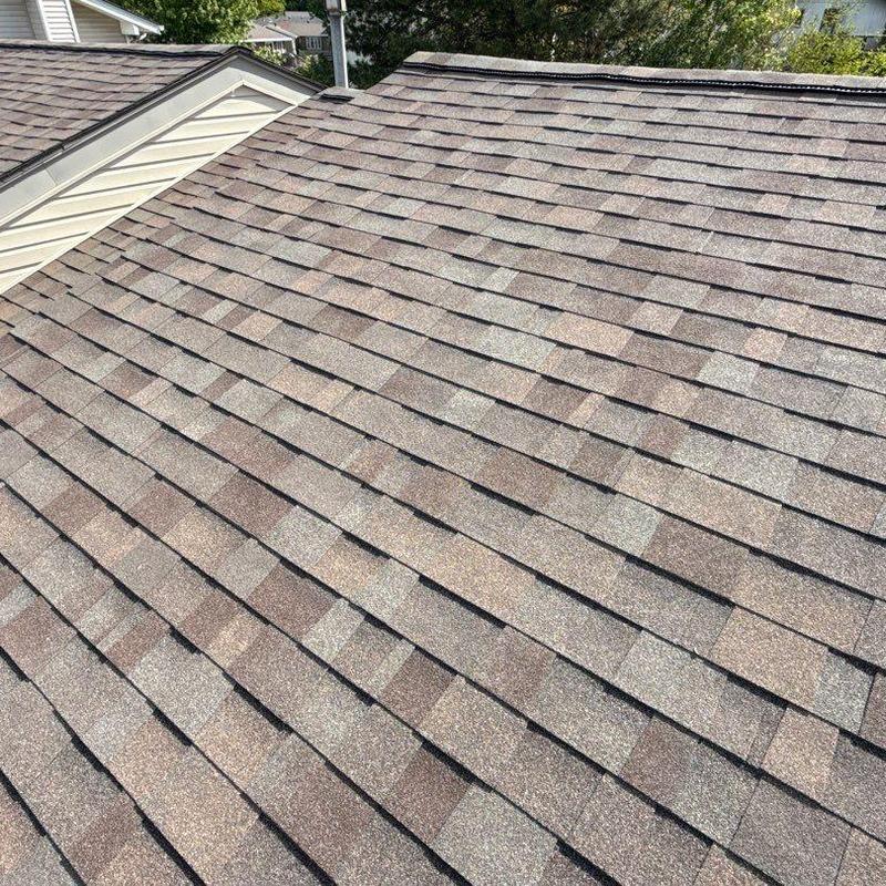 Malarkey Vista architectural shingles in Natural Wood color