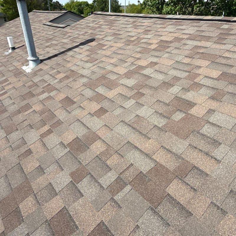 Malarkey Vista architectural shingles in Natural Wood color
